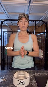 I want you to read this sentence out loud: Raw feeding is not hard when you choose Volhard Dog Nutrition. Now. Go back and read that again. And again. I still keep hearing “it’s overwhelming” 🤦🏼‍♀️ I promise you. @volharddognutrition makes it easy! Just order a bag of Volhard base mix and go to the grocery store to pick up some meat. THATS IT. It’s not hard. It’s not overwhelming. It’s easy. And it’s a COMPLETE diet. It has everything in it to EXCEED the AAFCO guidelines. And no, you do not ha