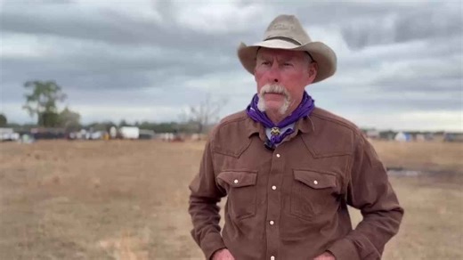 Florida cowboys drive 500 cattle 80 miles in Great Florida Cattle Drive