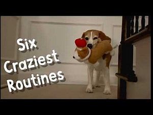 Oliver's six craziest bedtime routines