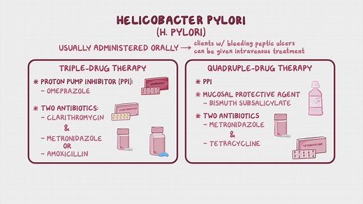 Video: Treatment for Helicobacter pylori: Nursing pharmacology - Video Explanation! | Osmosis | Osmosis