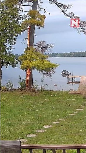 Dramatic Moment Lightning Hits Tree and Ignites Fire In Wisconsin