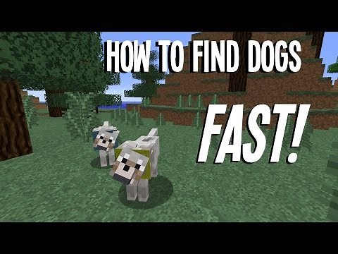 Minecraft: How to find Dogs (Wolves) Fast!! In 1.8!