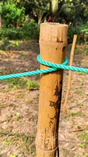 Knot king on Instagram: "Overhand knot..."