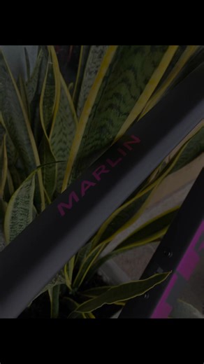  TREK MARLIN7 (2026) GEN3 สี MATTE DARK WEB/CLEAR GLOSS ราคา...
