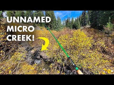 Fishing the TINIEST Little Trout Stream! (Tenkara Fly Fishing)