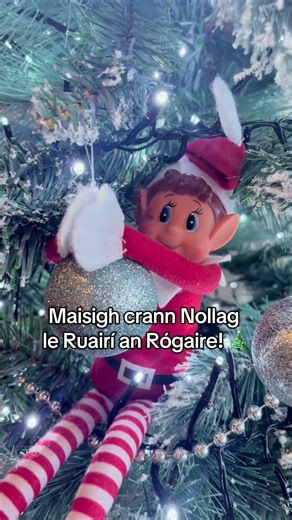 2.3K views · 29 reactions | Nach iontach an maisitheoir é Ruairí an Rógaire! 來 | Cúla4 | Facebook