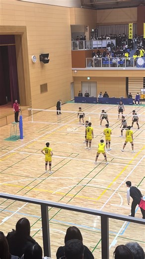 九州大会 平川くんの3番ユニ見れた👀 キャプテン頑張って‼️#fyp #バレー #鎮西高校 #鎮西高校バレー