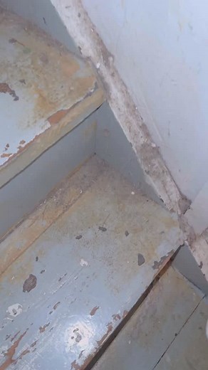 Anyone else have similar basement stairs? I feel like this is universal .. the chipping paint and all 🤗 #satisfying #vacuuming #deepclean #cleaning #housecleaning #cleaningmotivation #relatable #dogproblems | Takes a Village Cleaning