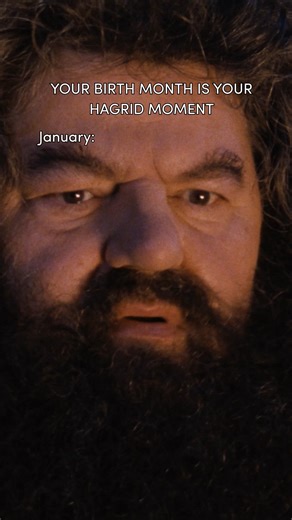 543K views · 11K reactions | December babies, we'd better see you hauling a tree wherever you go | Harry Potter | Facebook