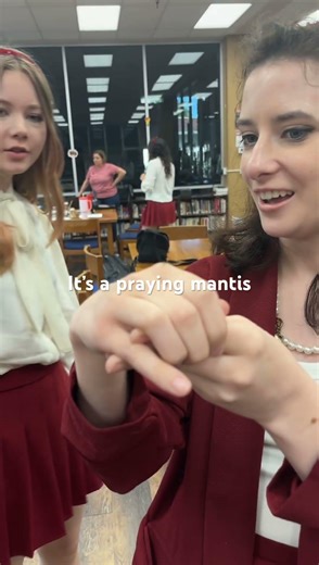 We found a praying mantis