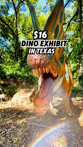 6.8K views · 1.5K reactions | 練✨ DINOSAURS ARE ALIVE in Texas! ✨練We just walked alongside a 40-foot T-Rex and 13 life-size animatronic dinosaurs and they ROAR! 秊 ️ General Admission • Adults – $16 • Kids (3–12) – $12 • Seniors (60+) – $14 • 2 & under – FREE Heard Natural Science Museum & Wildlife Sanctuary 1 Nature Pl, McKinney, TX #HeardMuseum #DinosaursLive | The Texas Family | Facebook