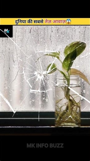 The Loudest Sound Ever Recorded on Earth” 🌋