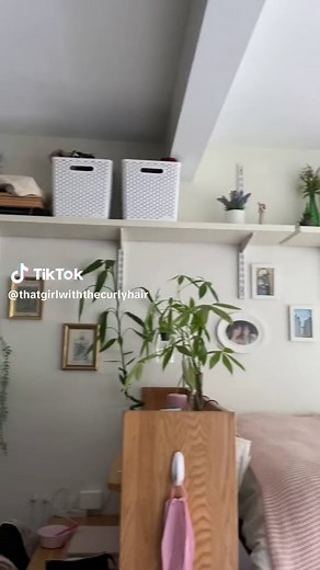 Explore Northeastern University Dorms and Campus Life