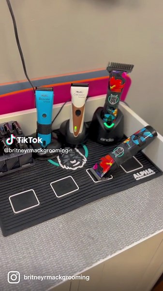 Professional Dog Grooming Tools and Equipment Tour