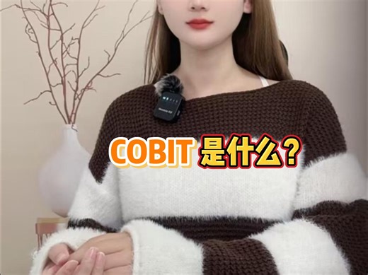 COBIT是什么？