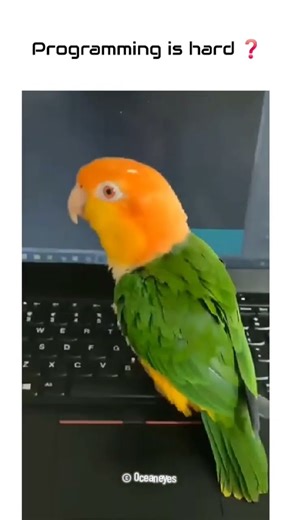 Watch this video before you mess with Programming again 🔥 #programming #funny #technology