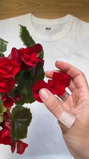 It's fluffy Puffy with some beautiful spring craft ideas! #thatlittlepuff #catsoftiktok #puffknowsbetter #AerieREAL