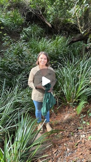 Bindi Irwin on Instagram: "Meet ‘Lionel’! We went spotlighting for bugs this evening (Grace’s new favourite activity) and came across this sweet carpet python on the path. We don’t want the wild carpet pythons to live near the roads @australiazoo, so thankfully Chandler got a snake bag and we were able to relocate Lionel to the bushland the next morning. It’s always nice to teach Grace snake safety and encourage her love for these sweethearts at a safe distance."