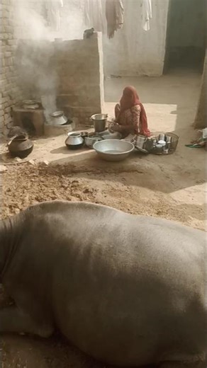 duniya to tur Jana #song #music #punjabisong #cid #love #viral #trending #youtube #ytshorts #sorts