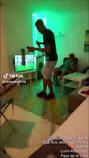 bohria .com sur TikTok