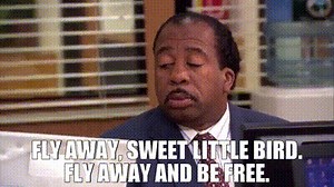 Fly away, sweet little bird. Fly away and be free.