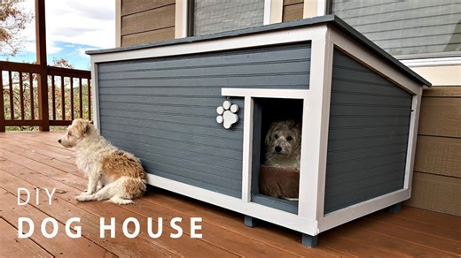 Build an insulated dog house for all seasons