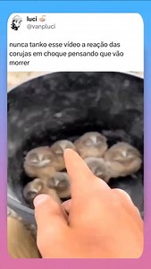 2.3M views · 18K reactions | Memes Twitter on Reels | Facebook