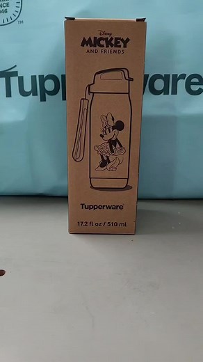 Botella Térmica Disney 510ml para Niños