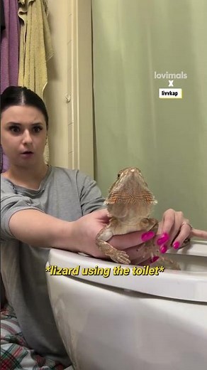 Lizard needs to poop 😳