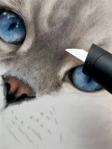 This little tool is doing so much of the work - Perfect for fine fur details 🐾 #artistsoftiktok#arttok #colouredpencil #drawingtips #petart #DrawingCats #petportraits #BonnySnowdonAcademy