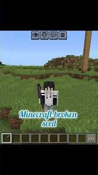 Minecraft broken seed#minecraft #seed #shorts