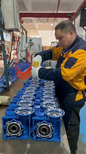 NMRV Reducer Installation Guide for Hexagon Socket Screws