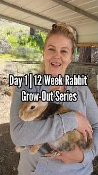 Day 1 Rabbit Grow-Out Series | How We Raise Meat Rabbits