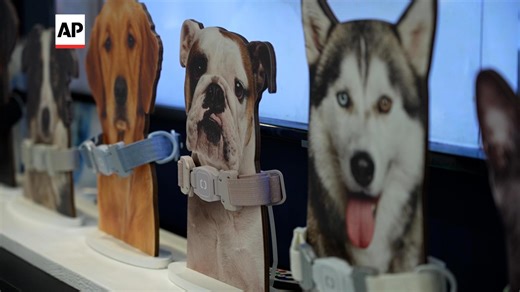 Pet tech innovations are on trend at CES 2025
