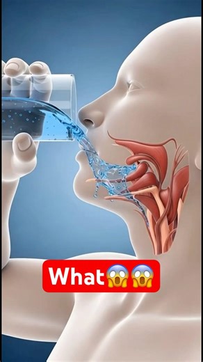 This Is Why Your Body Needs Water | 3D Animation #shorts