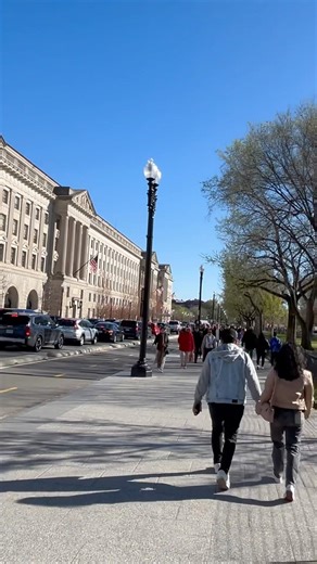 Cherry Blossoms & American Power | A Stunning Walk Down 15th Street NW to the Washington Monument