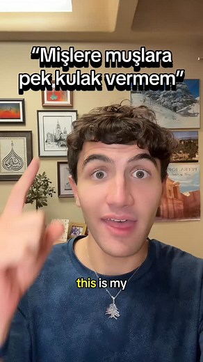 This is almost as cool at Turkish’s 3D vowel system… #turkish #language #linguistics #turkiye #evidentiality | human1011