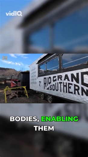 The Quirky History of the Galloping Goose! 🦢