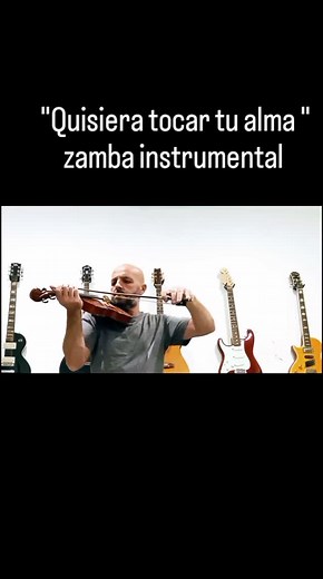 Feliz día de la Música!! #folklore #violin | Seba Garcia Gorostiaga