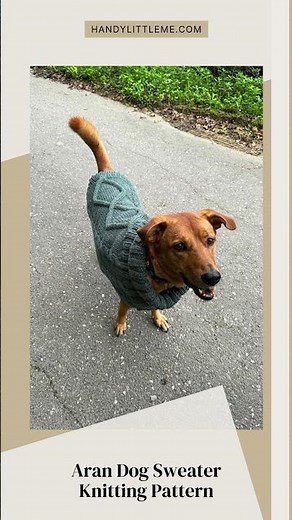 Aran Dog Sweater Knitting Pattern