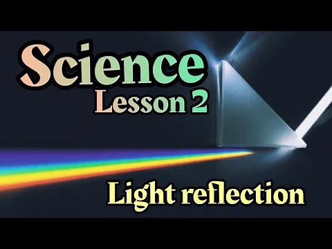 concept 1-3 light strikes matter | reflection | light and sight| science primary 4 |