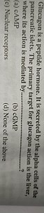 Glucagon is a peptide hormone. It is secreted by the alpha cell... | Filo