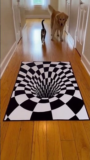 Optical illusion with animals