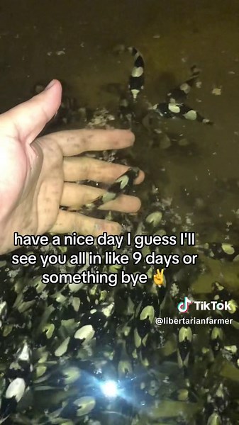 Understanding TikTok Traffic Sources: Direct Messages Explained