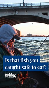 11 reactions | It’s fishing season in Michigan, but there are nearly 100 bodies of water in the state that health officials have given a “do not eat” advisory for. Here's what you need to know before eating fish from Michigan's waterways. Read more here: https://www.michigan.gov/mdhhs/safety-injury-prev/environmental-health/Topics/eatsafefish | Bridge Michigan | Facebook