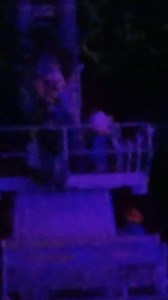 #NotSafeforMagic Fun fact: In the Fantasmic show at Disney's Hollywood Studios, Ariel cannot leave the ferry during the huge firework finale soo.. Prince Eric throws blanket on her is like "Girllll, I'll pray for you!" Courtesy of Nipah 🐣 Didney on Twitter. No profit will be made on this video. | Orlando Theme Park Zone