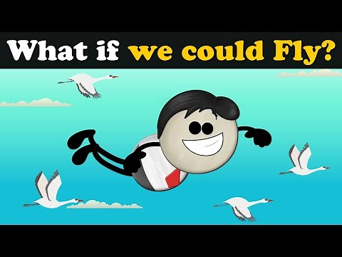 What if we could Fly? + more videos | #aumsum #kids #children #education #whatif
