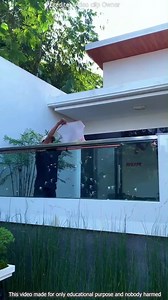 32K views · 197 reactions | #pageantwinner #beautypageant #parade | Watch and Back | Facebook