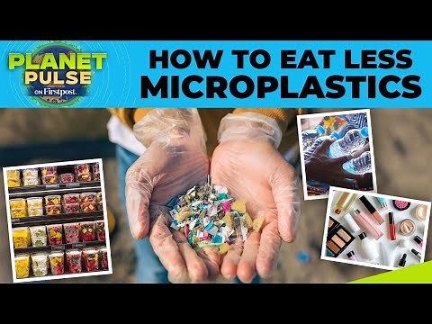 Microplastics Are in Your Food, Here’s How to Avoid Eating Them | Planet Pulse | N18G