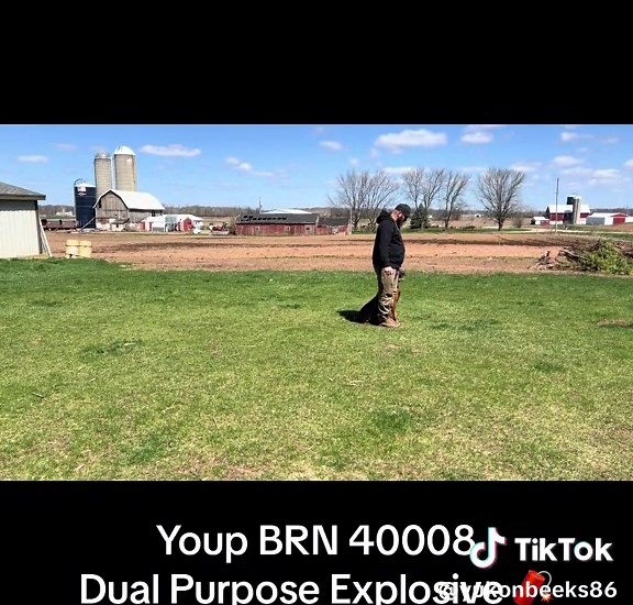 PSA PDC prep. You will be showing May 12th at TarHeel Canine PSA trial. #workingdog #hardwork #k9softiktok #k9training #k9 #bitework #nomnomnom